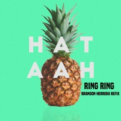Ring Ring (Brandon Herrera REFIX)