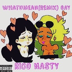 What U Mean Remix (Gay)