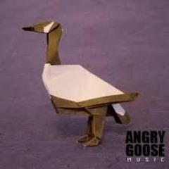 Angry Goose / Gimme A Try (featuring Rashanto)