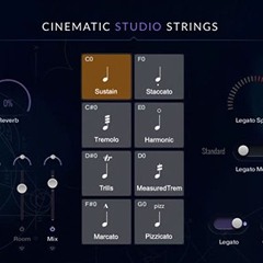 Cinematic Studio Strings (demo piece)