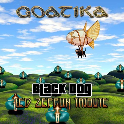black zeppelin led zeppelin black 12 12 black zeppelin led zeppelin black 12 12
