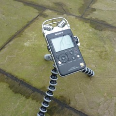 Comparison of Sony PCM-D100 v Primo EM172 - Ambient Noise