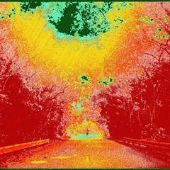 _dec 23 chillin (tip toes)