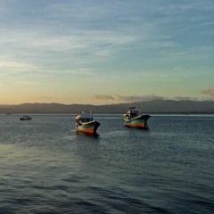 Can't Help Falling In Love (Cover)