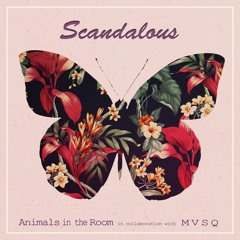 Animals in the Room & MVSQ - Scandalous