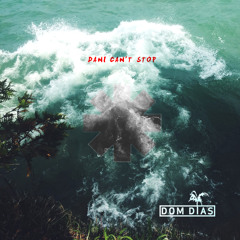 RHCP - Dani Can't Stop (DOM DIAS REMIX)