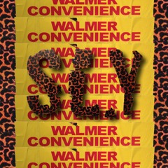Walmer Radio #18 - SL.Y's Club Mix