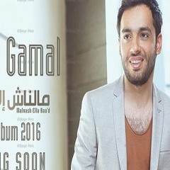 عايزني ارجع