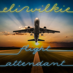Eli Wilkie - Flight Attendant