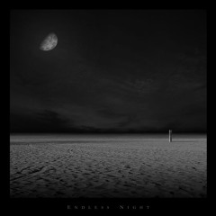 ENDLESS NIGHT
