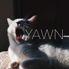 YAWN