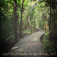 Like I Do (Prod. By Alt Ego & Nab_767)