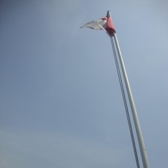 Dirgahayu Indonesiaku - H. Mutahar (vokal: Basa Nova Siregar)