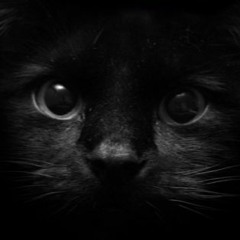 Domi Hunter - Eclips ( Demo Record )