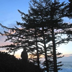 Cruel (live + reverb) w/ Baby Bleu