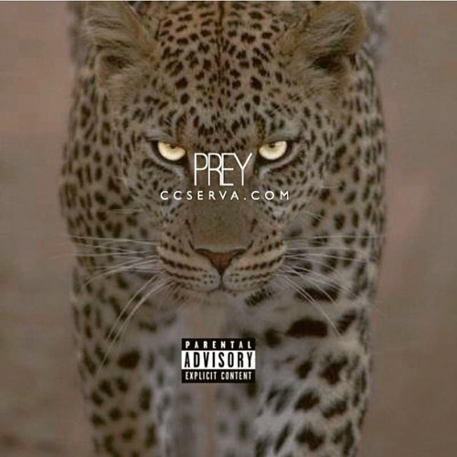P R E Y : DAY 3