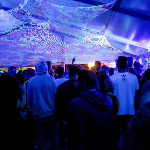 Trip To The Magic Forest Progvision