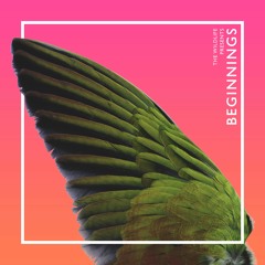 Sah Vah Nah - Nascent Truth