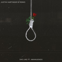 Justin Hartinger & Remzi - She Like (Feat. Amanuensis)