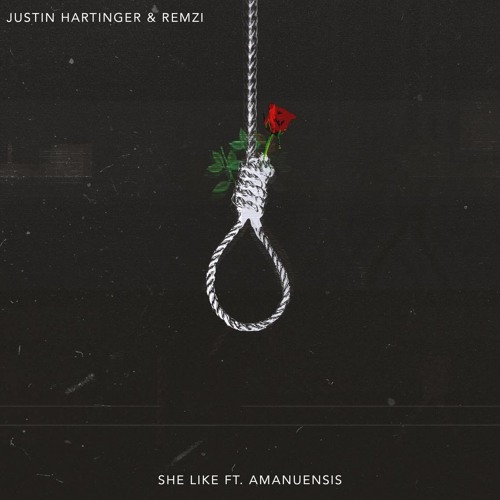 Justin Hartinger & Remzi - She Like (Feat. Amanuensis)