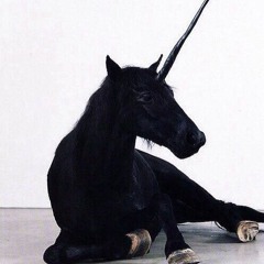 podval capella - knebesam