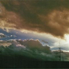 Borututu forte - Buchu