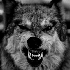 Xalk - Mazi Mou Mplekeis....