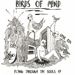Birds of Mind - Flying Through The Souls (Just Emma Remix) - Snippet