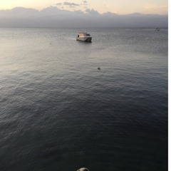 Fly Me To The Moon (Cover)