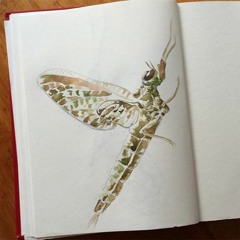 Mighty Lark Episode 5: The Dun Variant