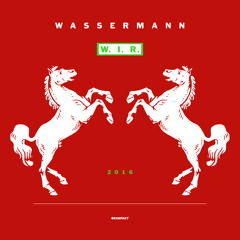 W.I.R. - Sven Väth Remix - Snippet