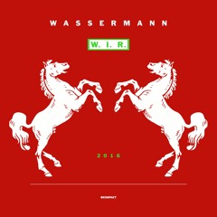 Wassermann - W.I.R. Remixe - Snippets