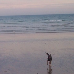 Sittin' On The Quayside