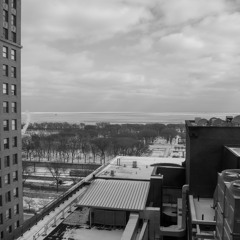 This Town Needs Guns (TTNG) - Crocodile