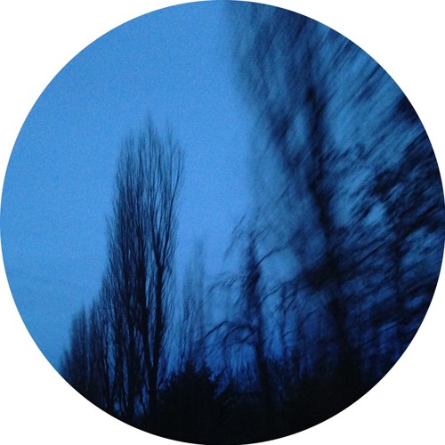A1. Hooved - N.D.A. 01