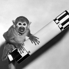 Clip| 'A SHORT HISTORY OF NON-HUMAN ASTRONAUTS' | documentary/podcast