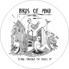 EXCLUSIVE: Birds Of Mind - Palang Kuh [Underyourskin Records]