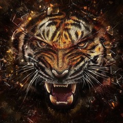 Jungle (Original Mix)