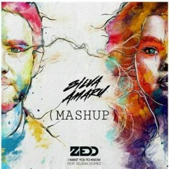 Zedd Ft. Selena Gomez - I Want You To Know (Silva Amaru X Fight Clvb Mashup)