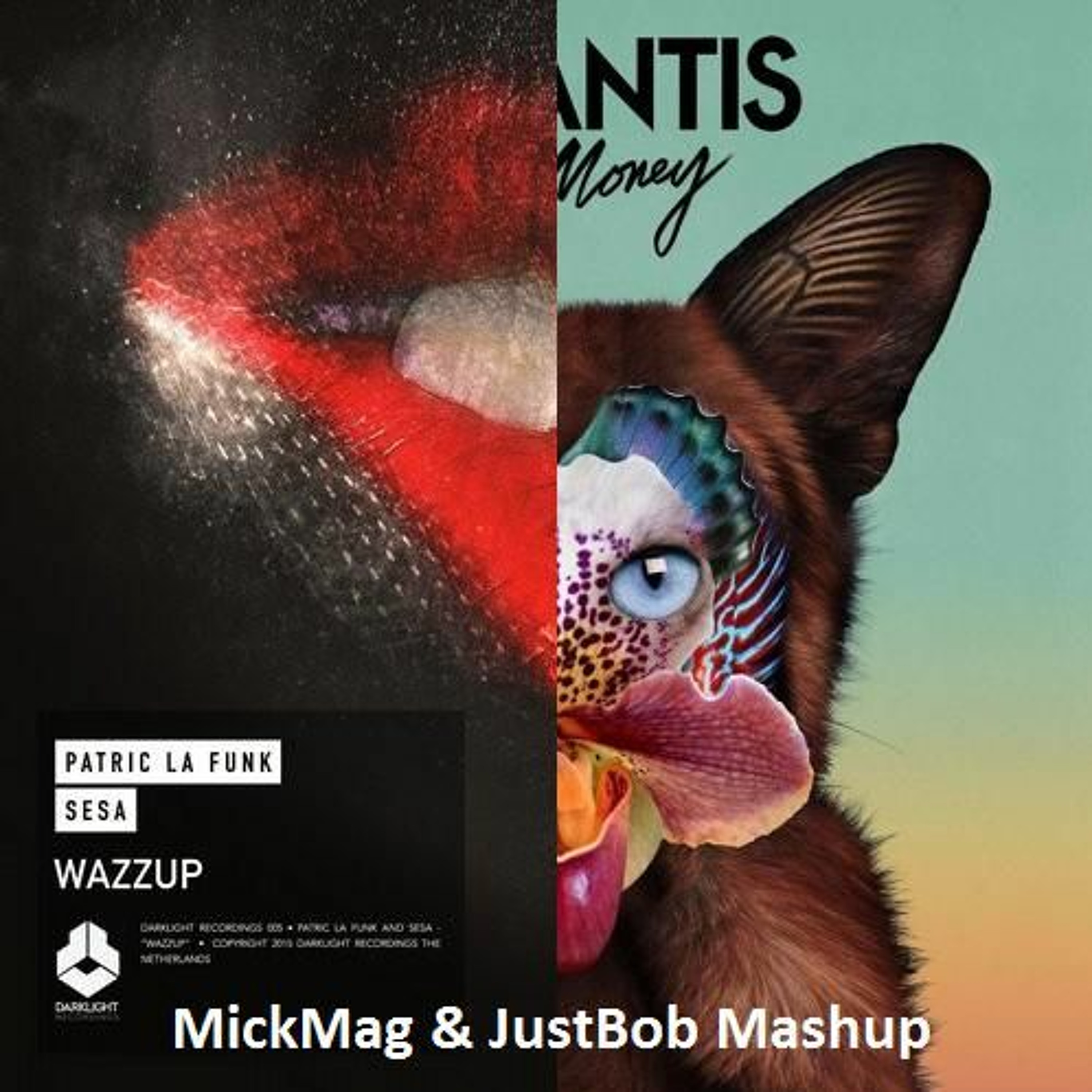 MickMag & JustBob