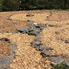 A Year of Mindful Eating: Cleansing