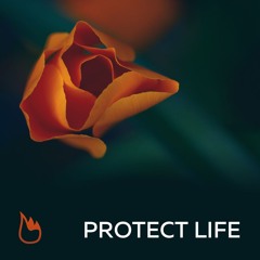 Protect Life [Dubstep]