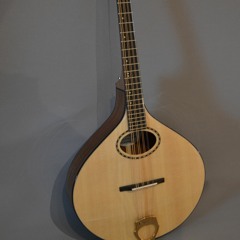 SItka spruce flat-top, 21" short scale Octave Mandolin, Sapele body