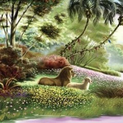 gaia