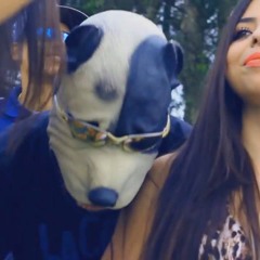 MC MM - Adestrador De Cadela ( Dj Igor Matheus )