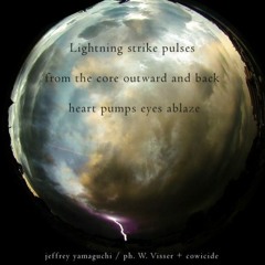 pulsating light (Naviarhaiku133 - Lightning strike pulses)