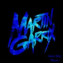 Martin Garrix - Animals [EDM - trap] [130-100bpm]