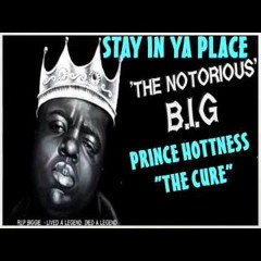 Prince Hottness The Cure Feat. The Notorius B.I.G _Stay In Ya Place (2009)
