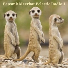 Papsmk Meerkat Radio Eclectic 1
