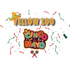 Cinco De Mayo